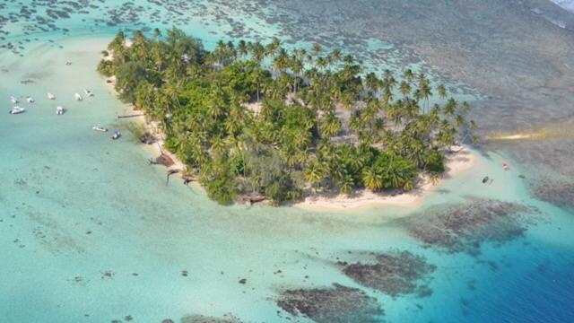 Pension Hibiscus Tahaa Uturoa Eksteriør bilde